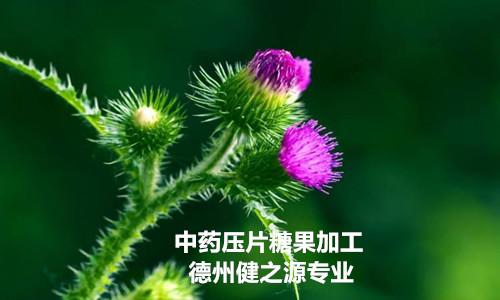 哪里有專業(yè)的壓片糖果加工廠_德州健之源牡蠣壓片糖果